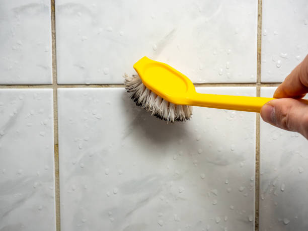 Mold Testing and Removal in Rhome, TX