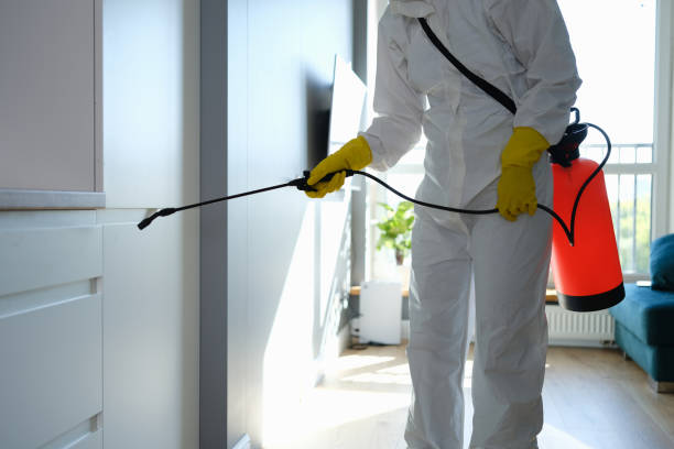 Best Office Mold Removal Services  in Rhome, TX