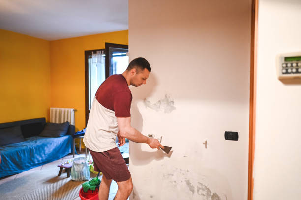 Best Toxic Mold Removal  in Rhome, TX