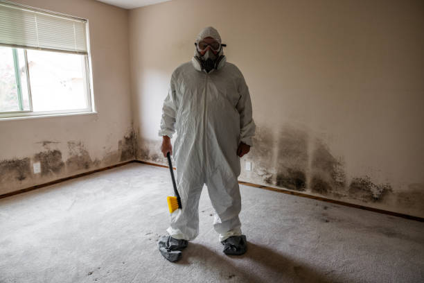 Best Mold Inspection  in Rhome, TX